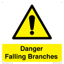 danger-falling-branches~